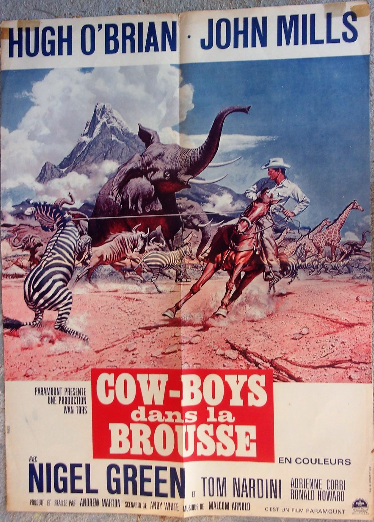 affiche du film Cow-boys dans la brousse