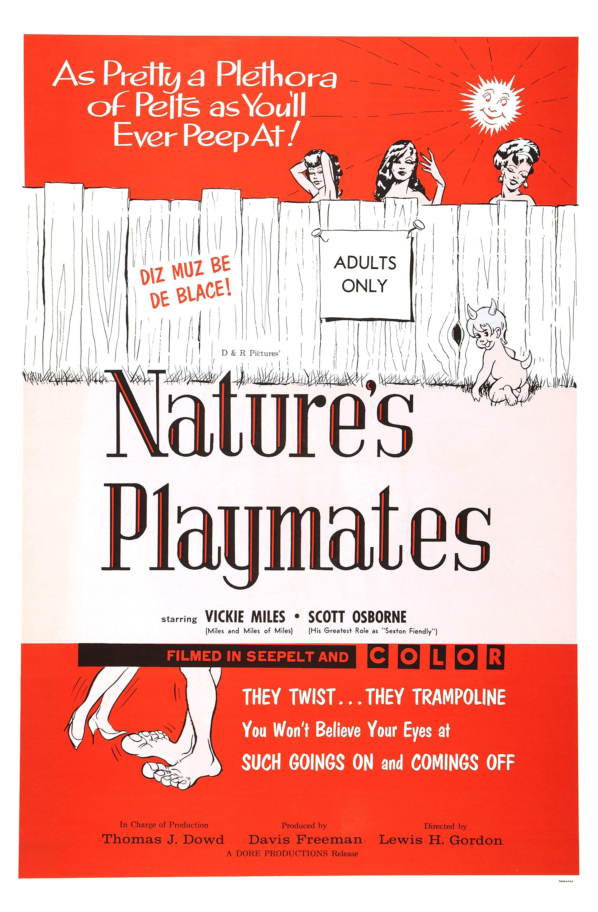 affiche du film Nature's Playmates