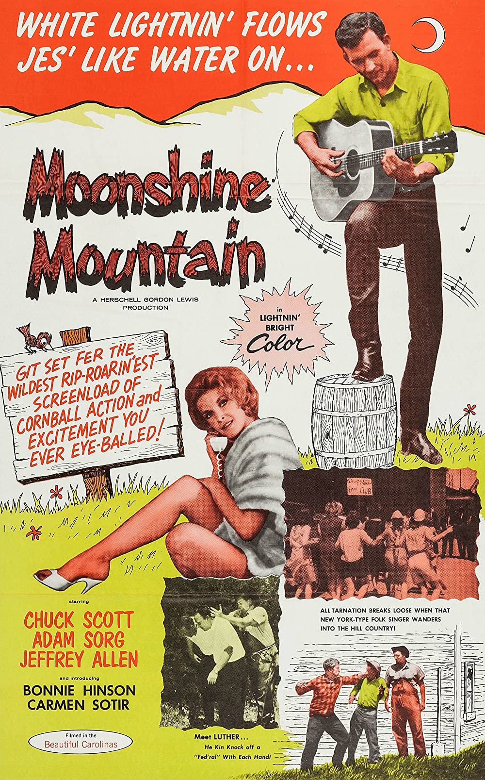 affiche du film Moonshine Mountain