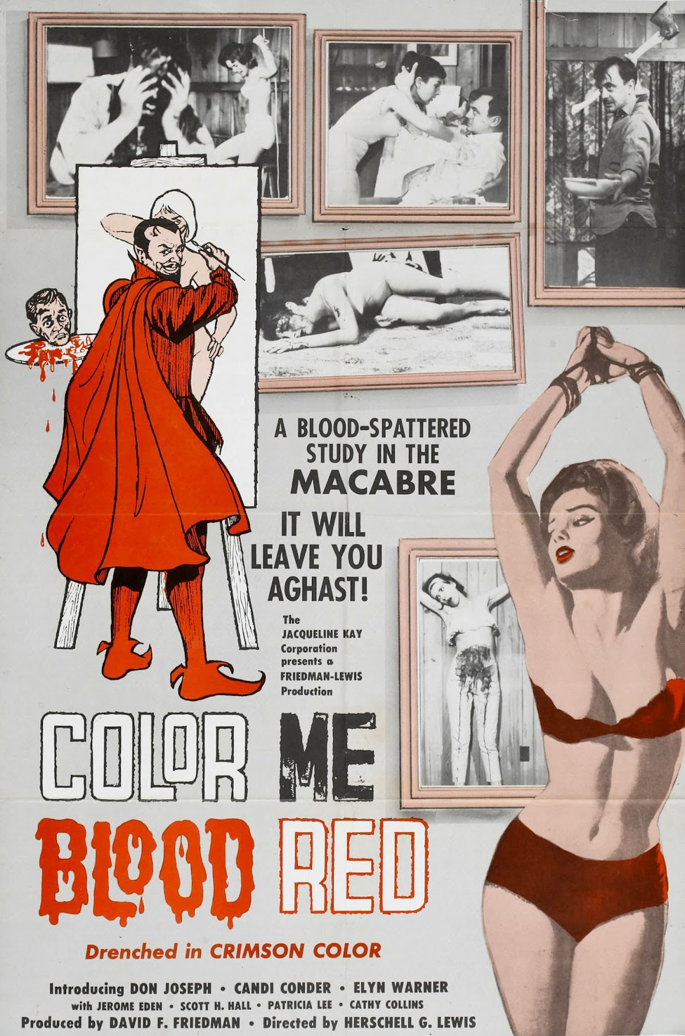 affiche du film Color Me Blood Red
