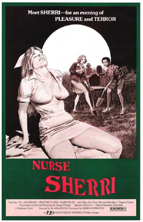 affiche du film The Possession of Nurse Sherri