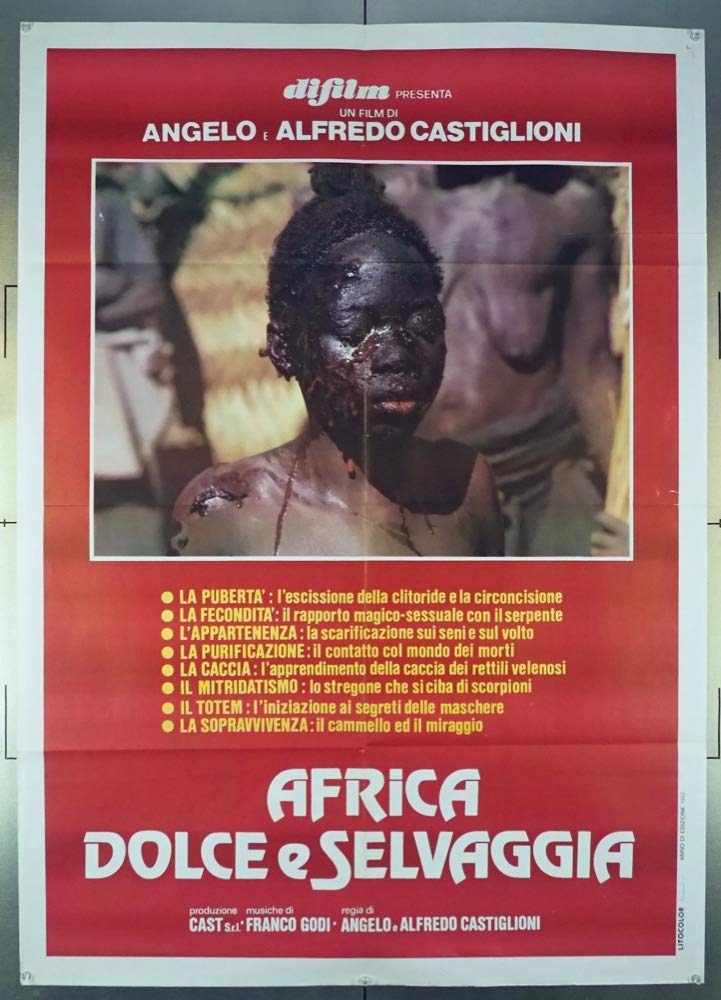 affiche du film Afrique interdite
