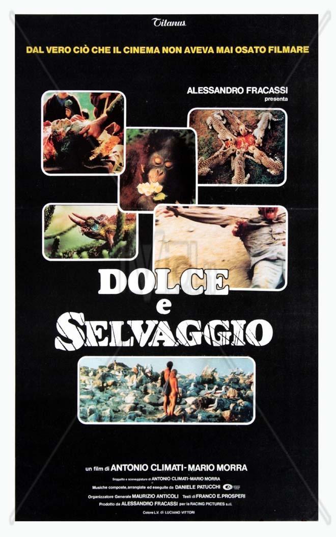 affiche du film Dolce e selvaggio