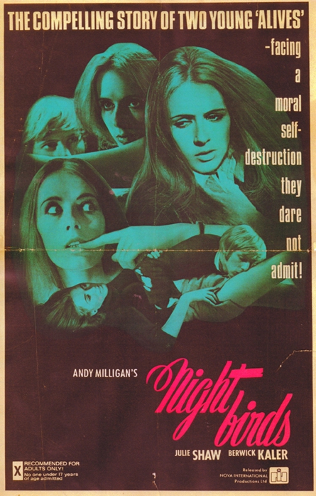 affiche du film Nightbirds