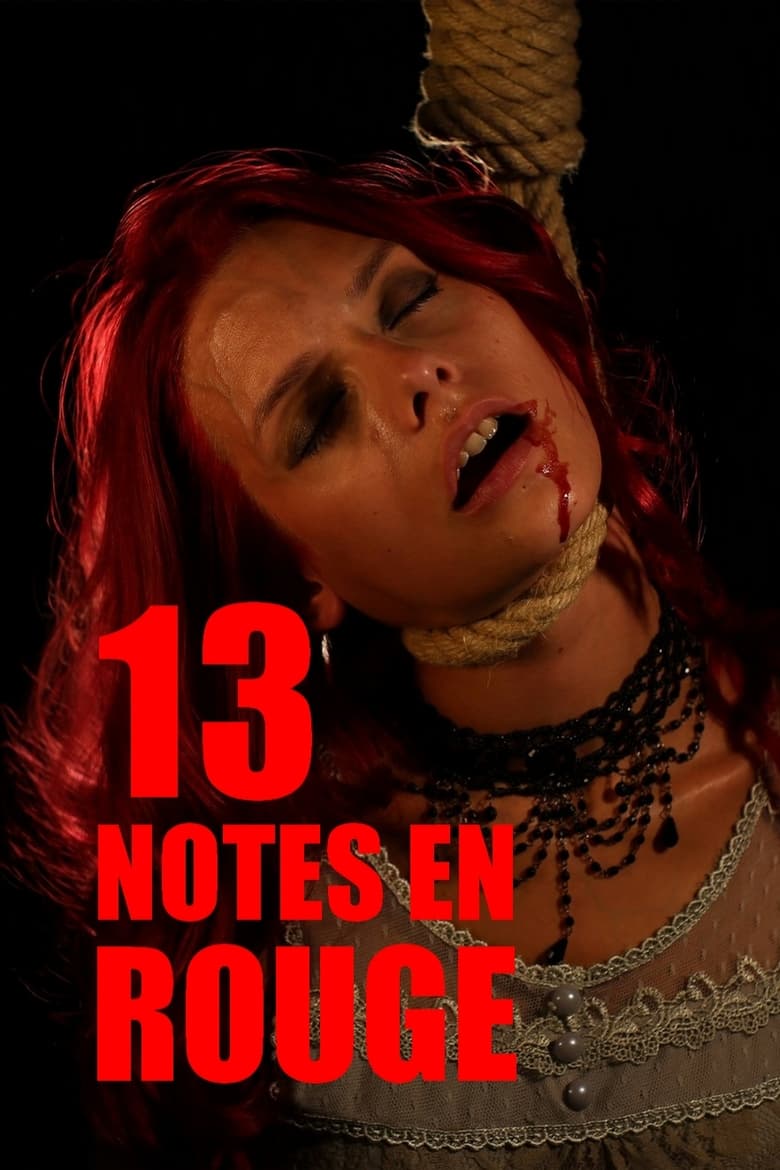affiche du film 13 Notes en Rouge