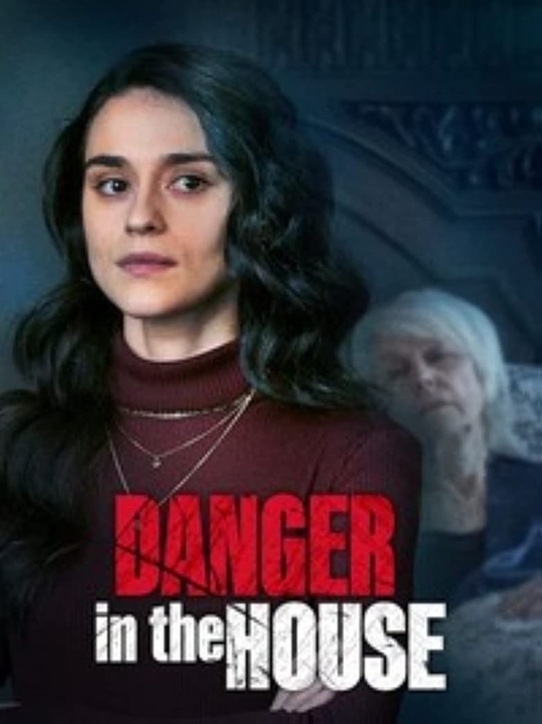 affiche du film Danger in the House