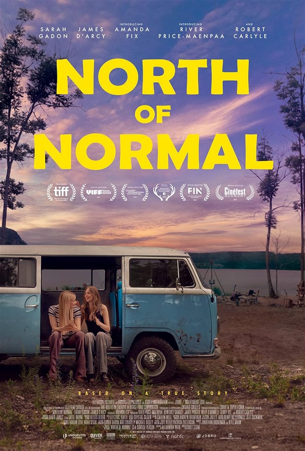 affiche du film North of Normal