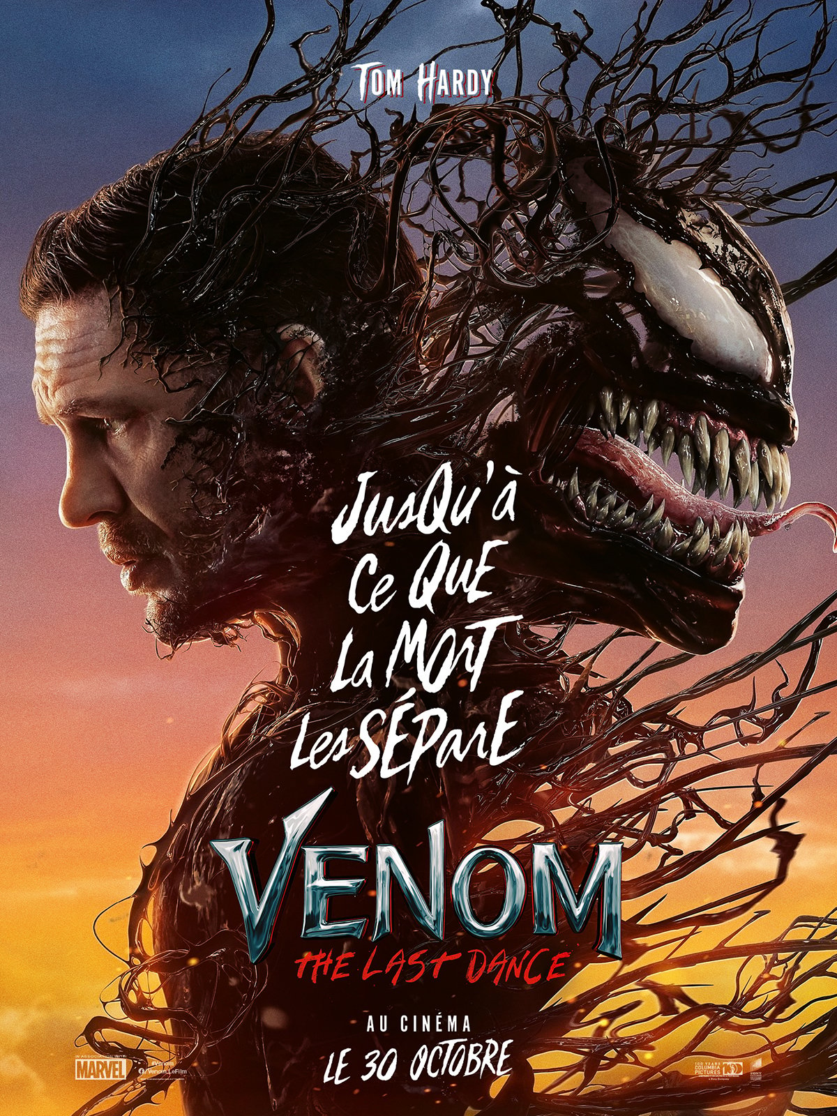 affiche du film Venom : The Last Dance