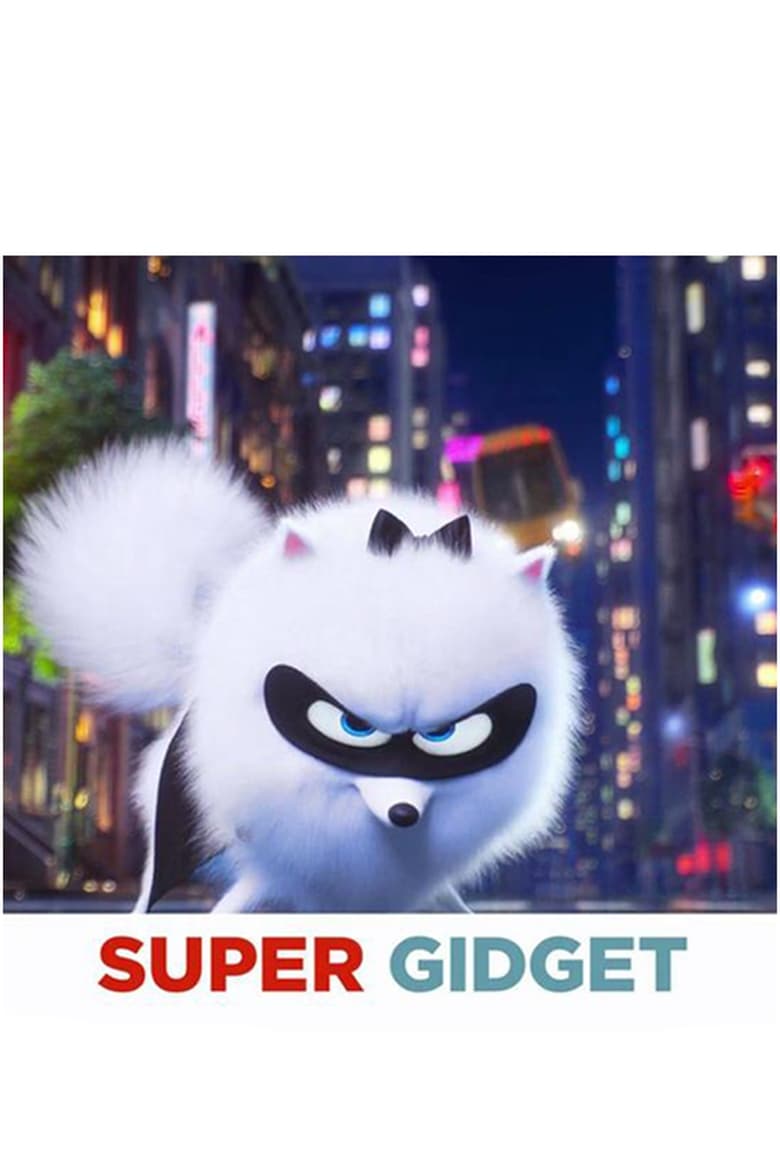 affiche du film Super Gidget