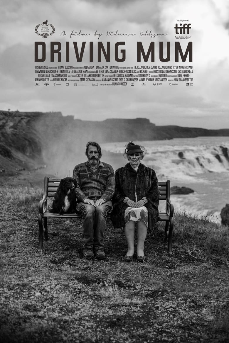 affiche du film Driving Mum