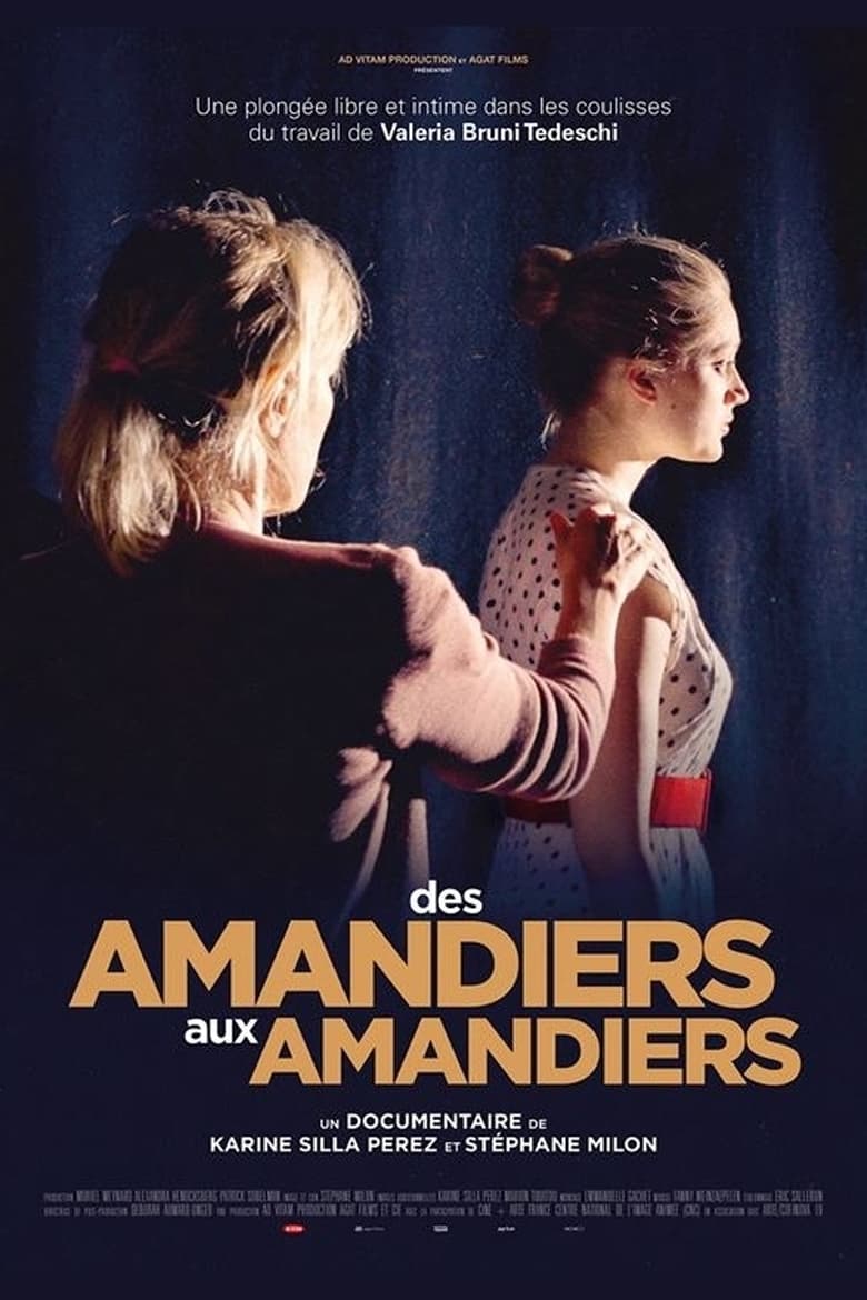 affiche du film Des Amandiers aux Amandiers