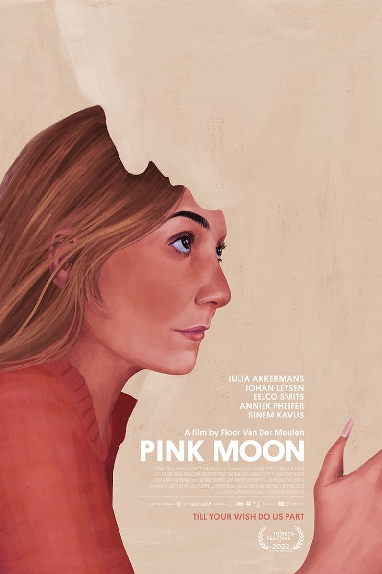 affiche du film Pink Moon