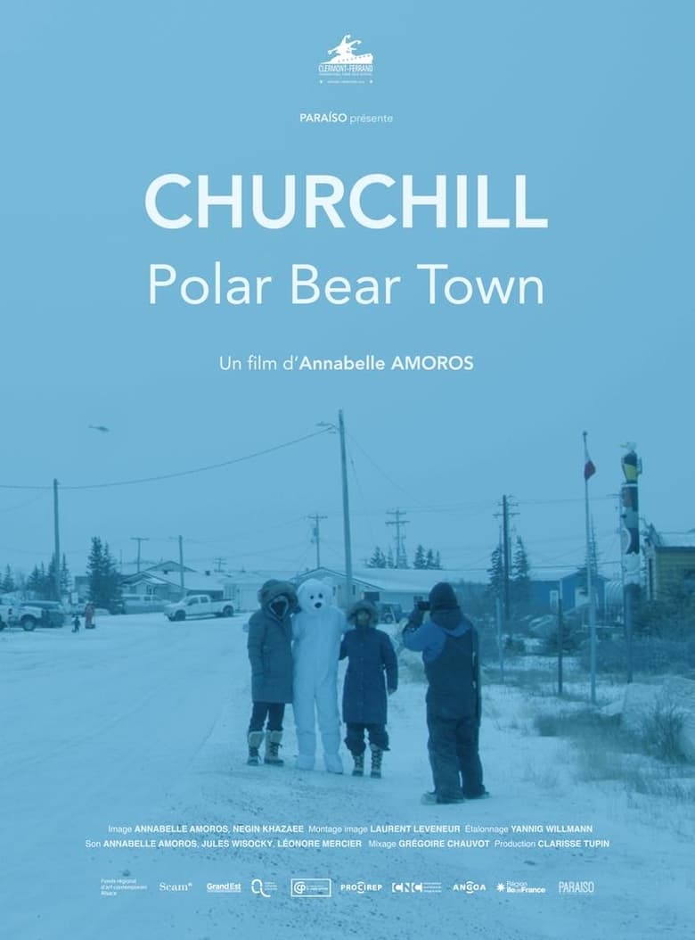 affiche du film Churchill, Polar Bear Town