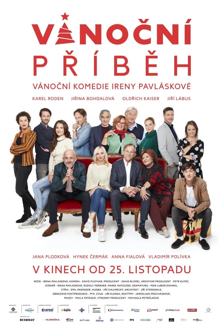 affiche du film Vánoční příběh