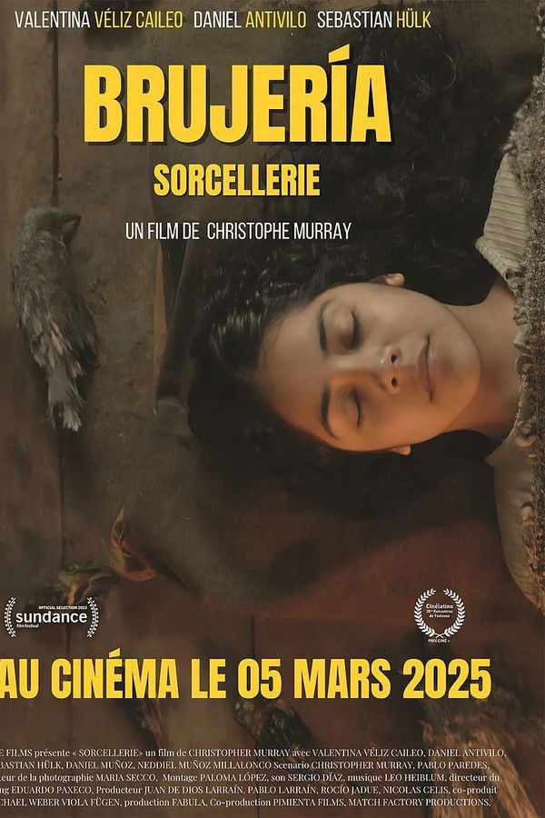 affiche du film Sorcery