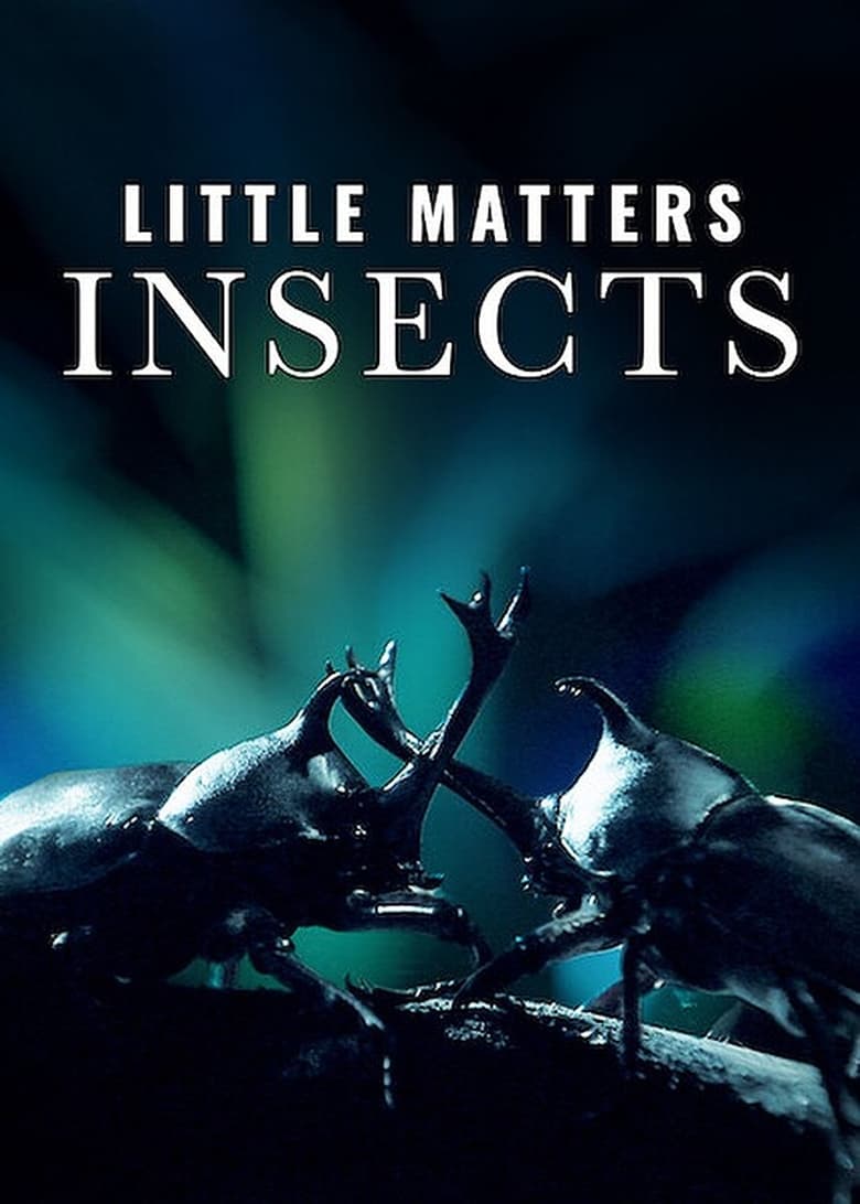 affiche du film Little Matters: Insects