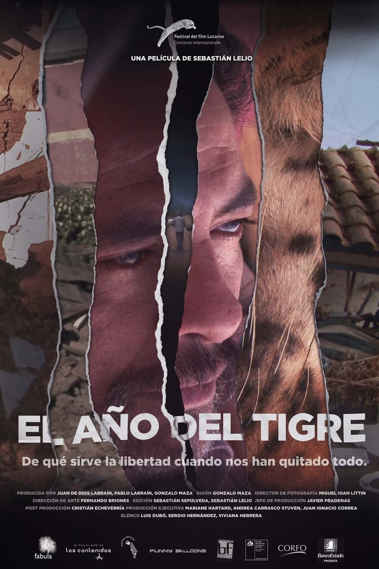 affiche du film The Year of the Tiger