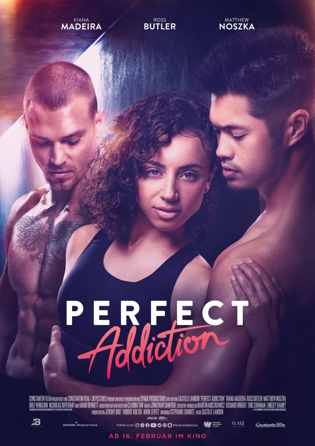 affiche du film Perfect Addiction