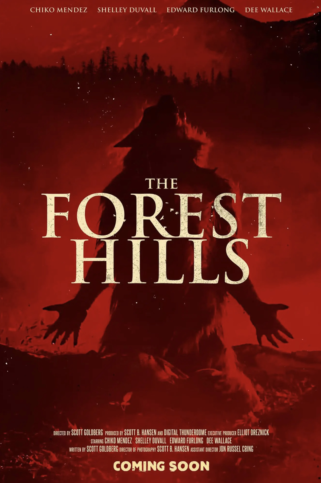 affiche du film The Forest Hills