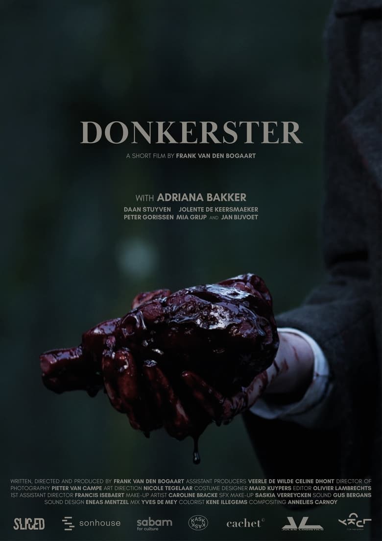 affiche du film Donkerster