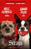Backstreet Dogs (Strays)