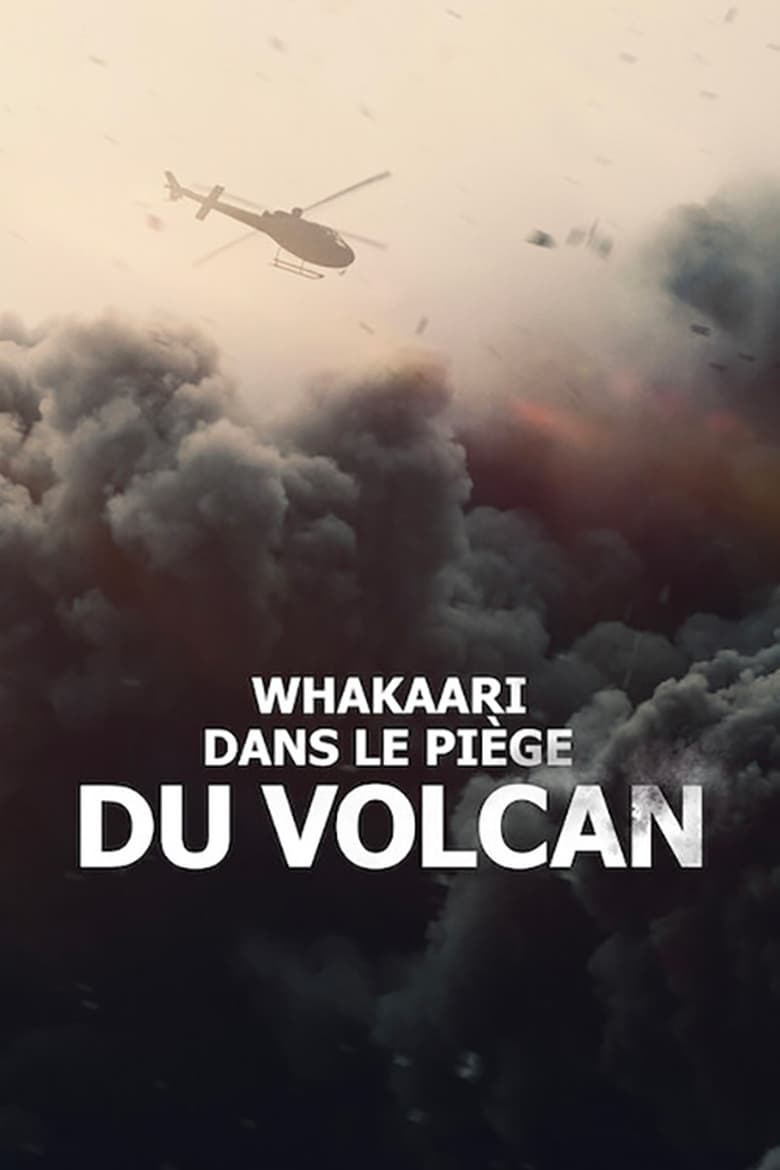 affiche du film Whakaari : Dans le piège du volcan