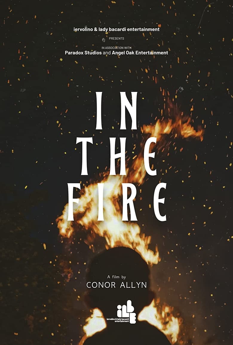 affiche du film In the Fire