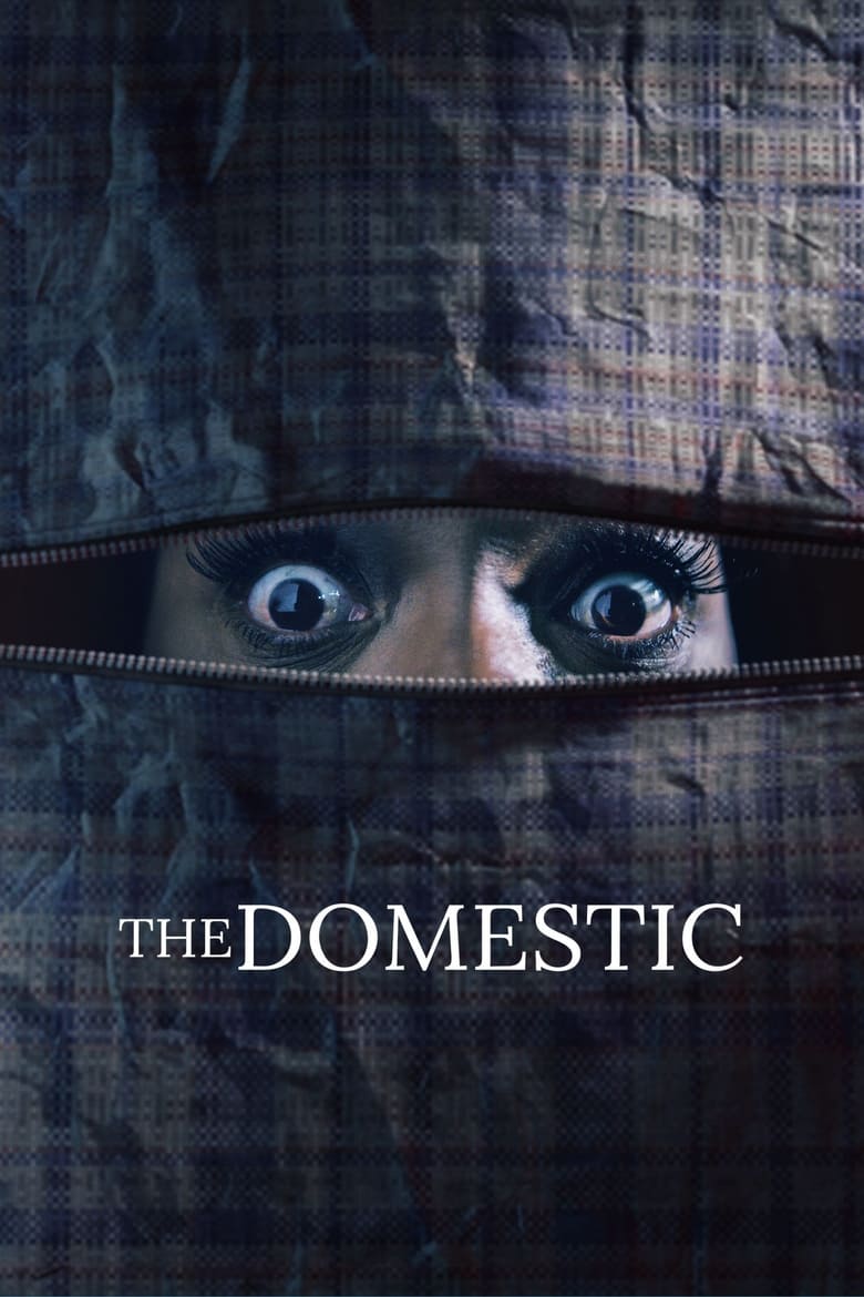 affiche du film The Domestic