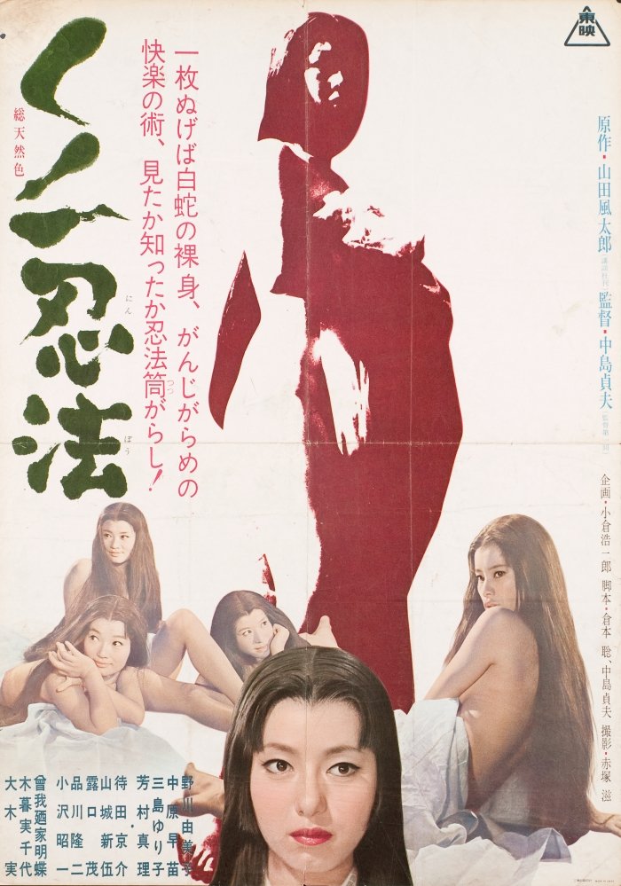 affiche du film Kunoichi Ninpo