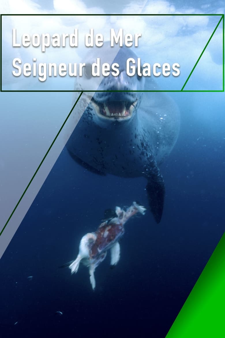 affiche du film Le léopard de mer, seigneur des glaces