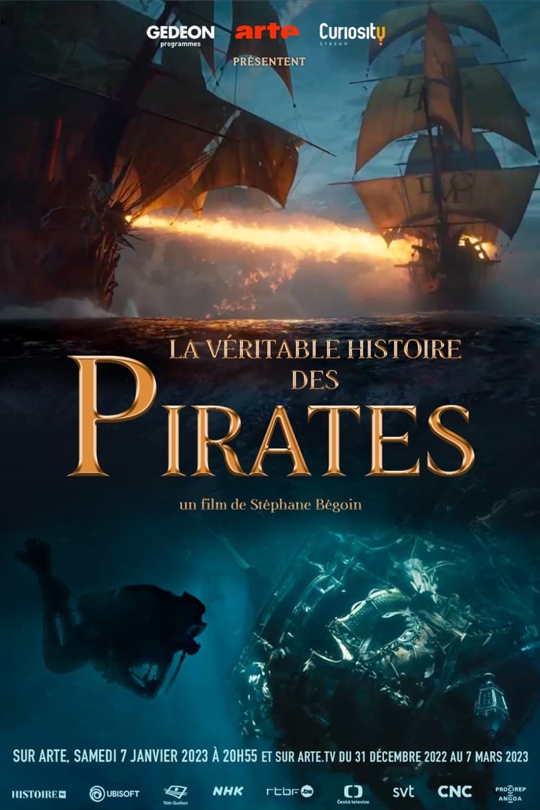 affiche du film La véritable histoire des pirates