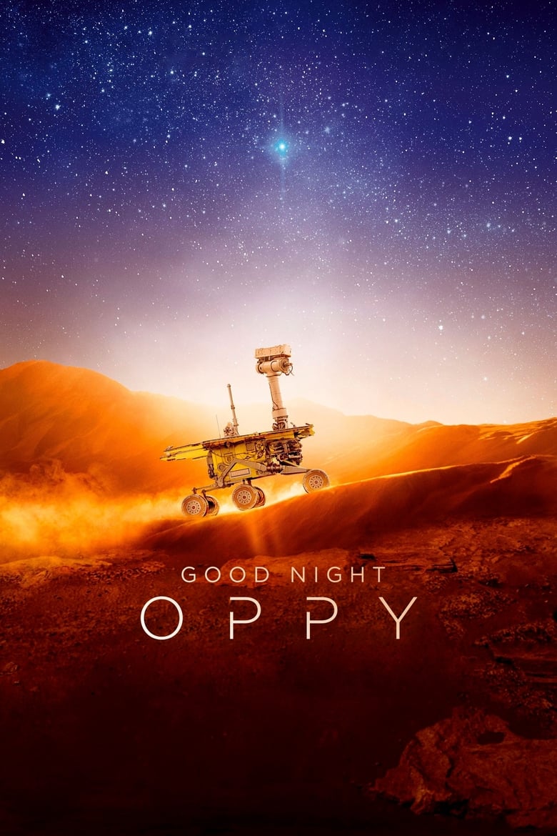 affiche du film Bonne nuit Oppy