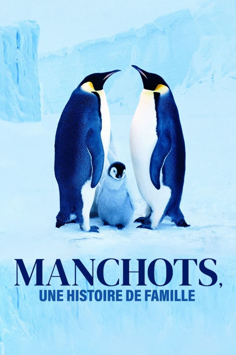 affiche du film Manchots, une histoire de famille