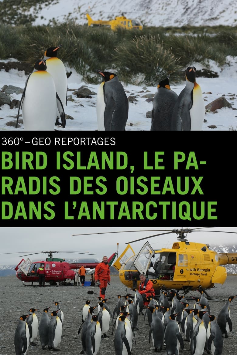 affiche du film Bird Island, le paradis des oiseaux dans l'Antarctique