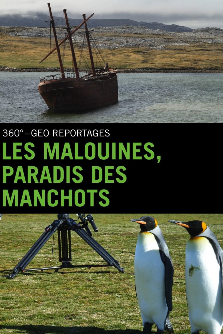 affiche du film Les Malouines, paradis des manchots