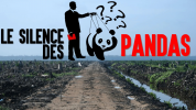 Der Pakt mit dem Panda - Was uns der WWF verschweigt