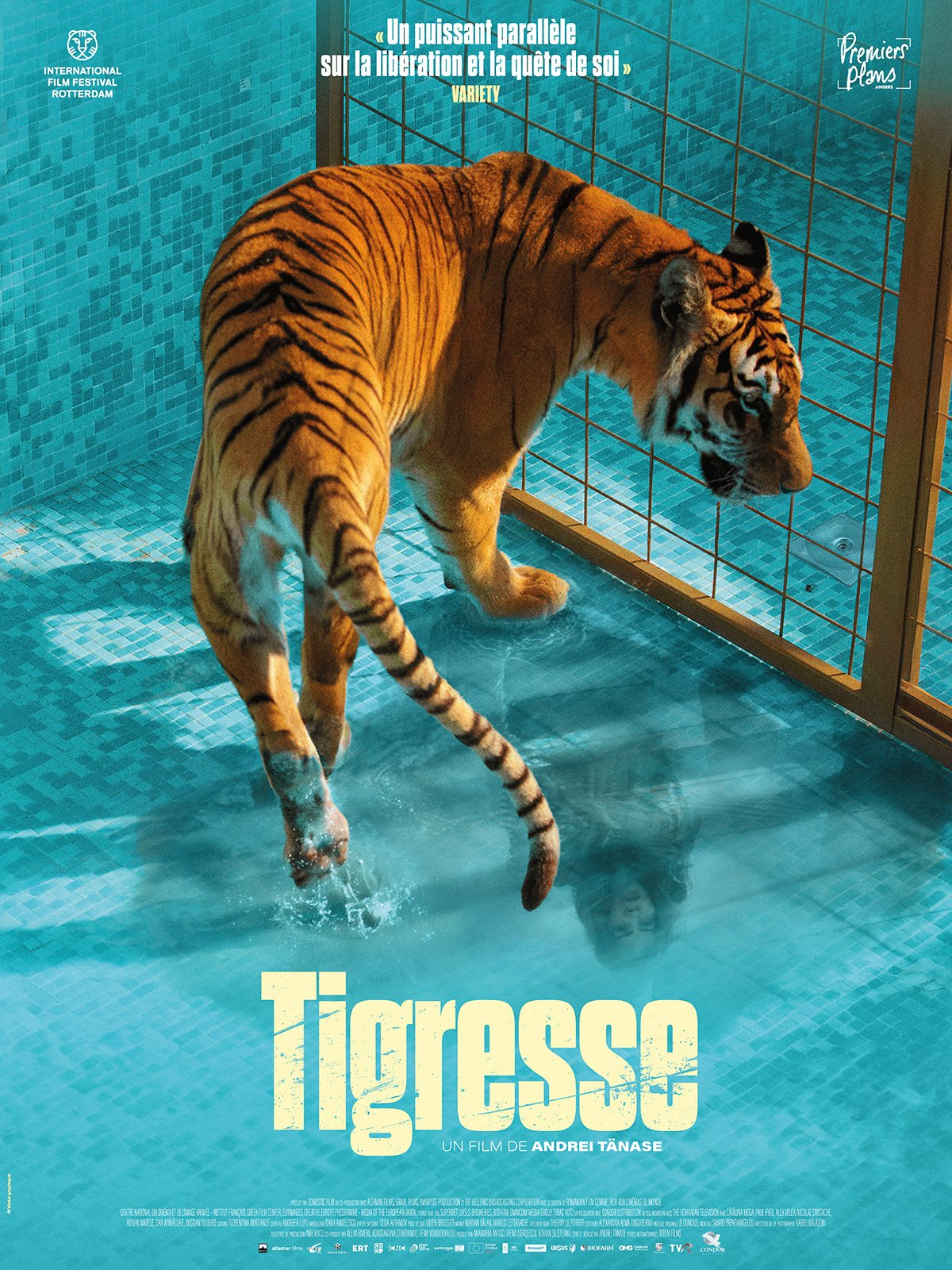 affiche du film Tigresse