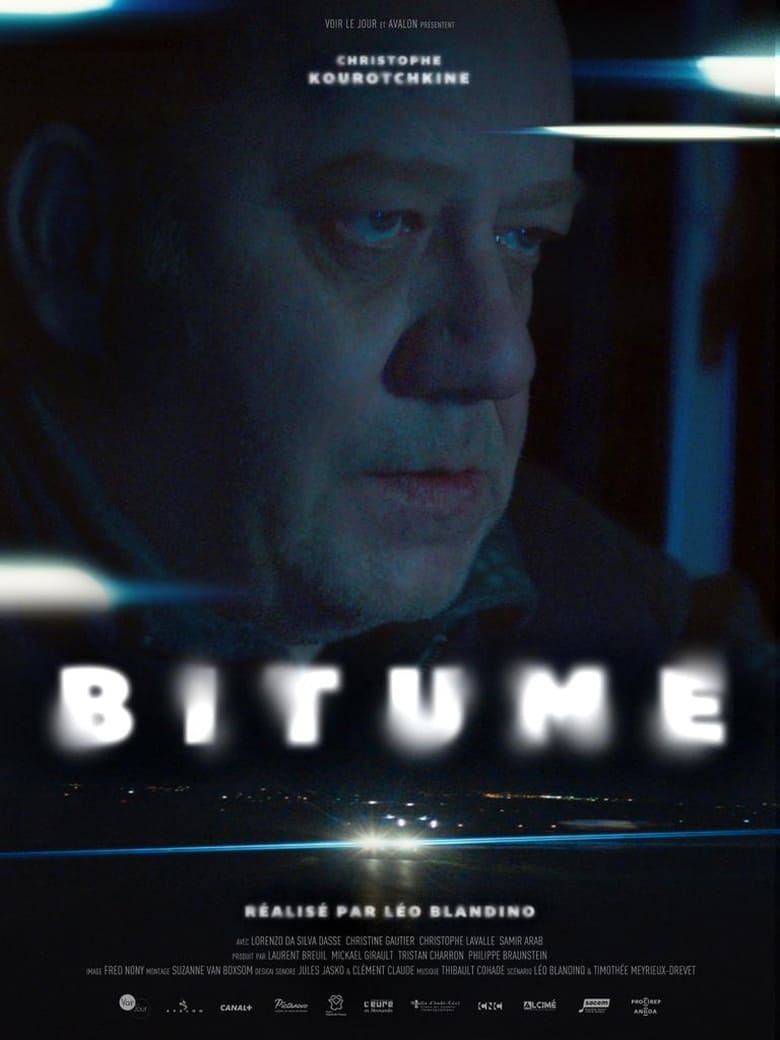 affiche du film Bitume