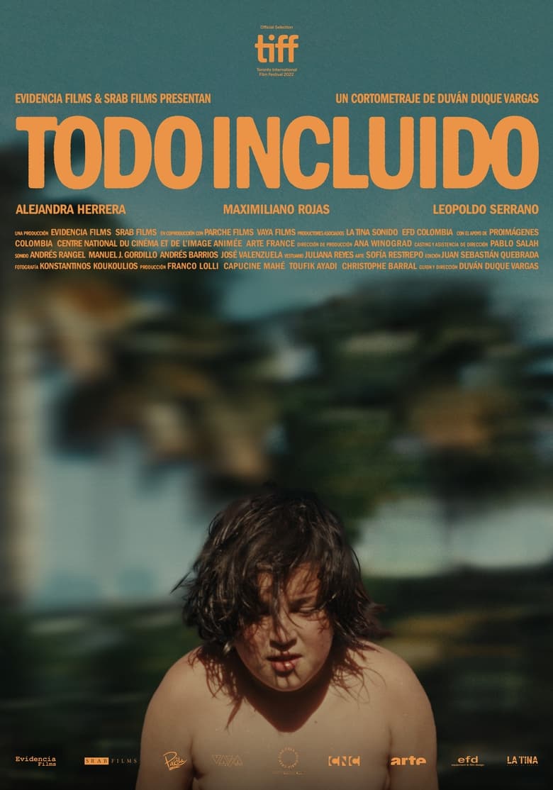 affiche du film Todo incluido