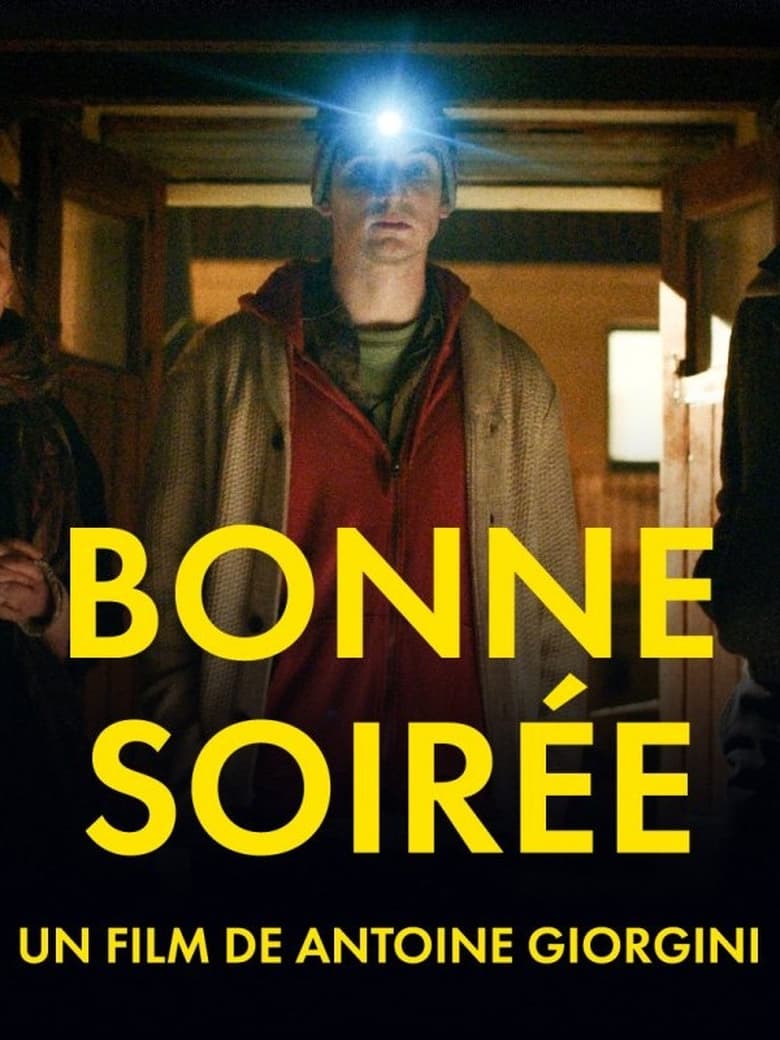 affiche du film Bonne soirée