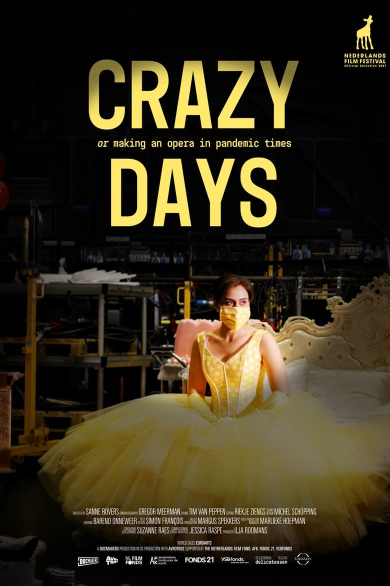 affiche du film Crazy Days