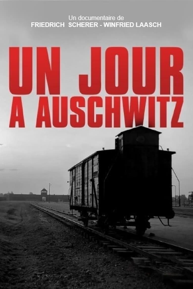 affiche du film Un jour à Auschwitz