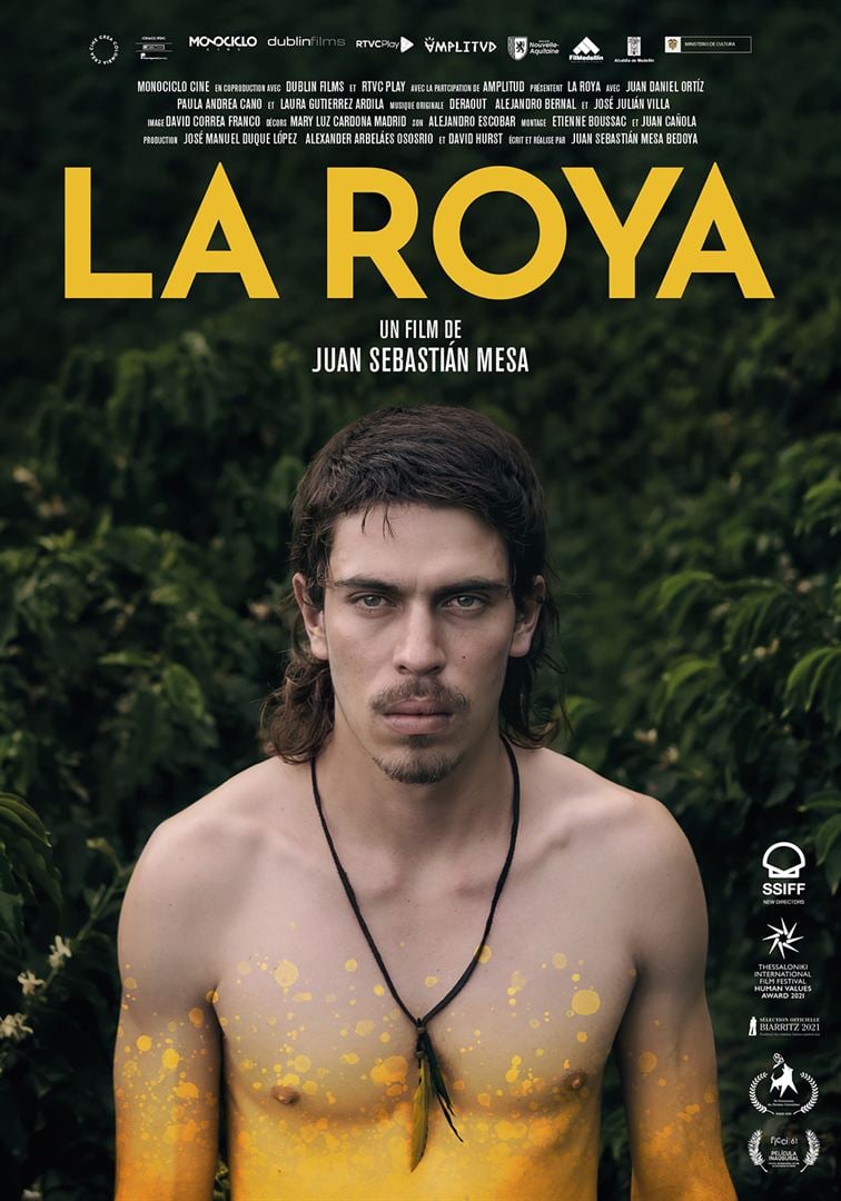 la-roya-seriebox