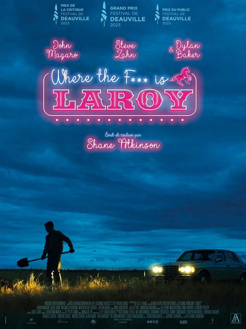 affiche du film LaRoy