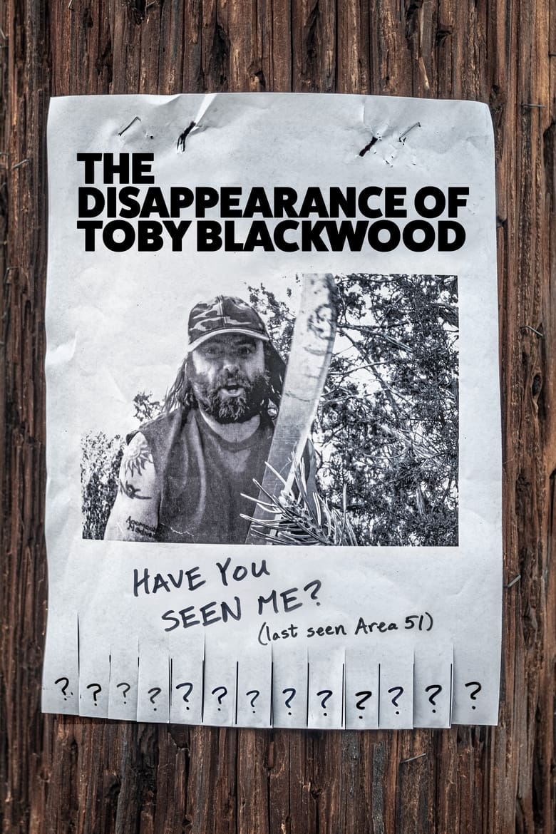 affiche du film The Disappearance of Toby Blackwood