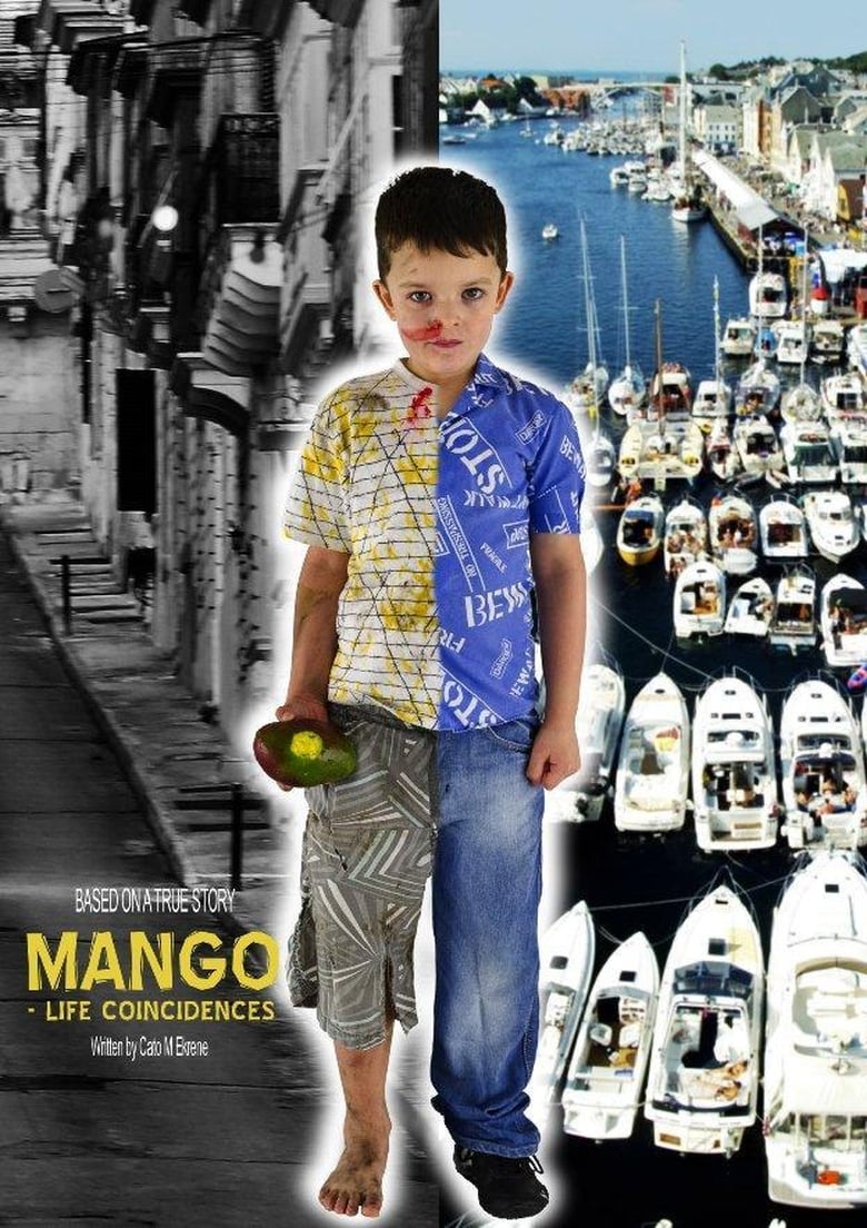 affiche du film Mango: Life Coincidences