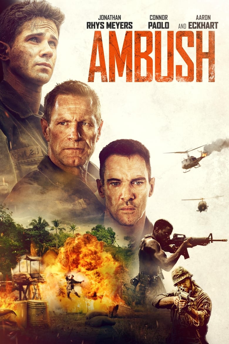 affiche du film Ambush
