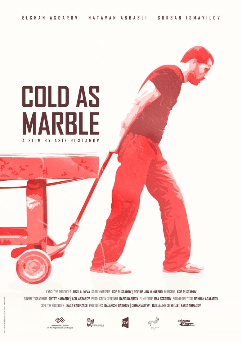 affiche du film Froid comme le marbre