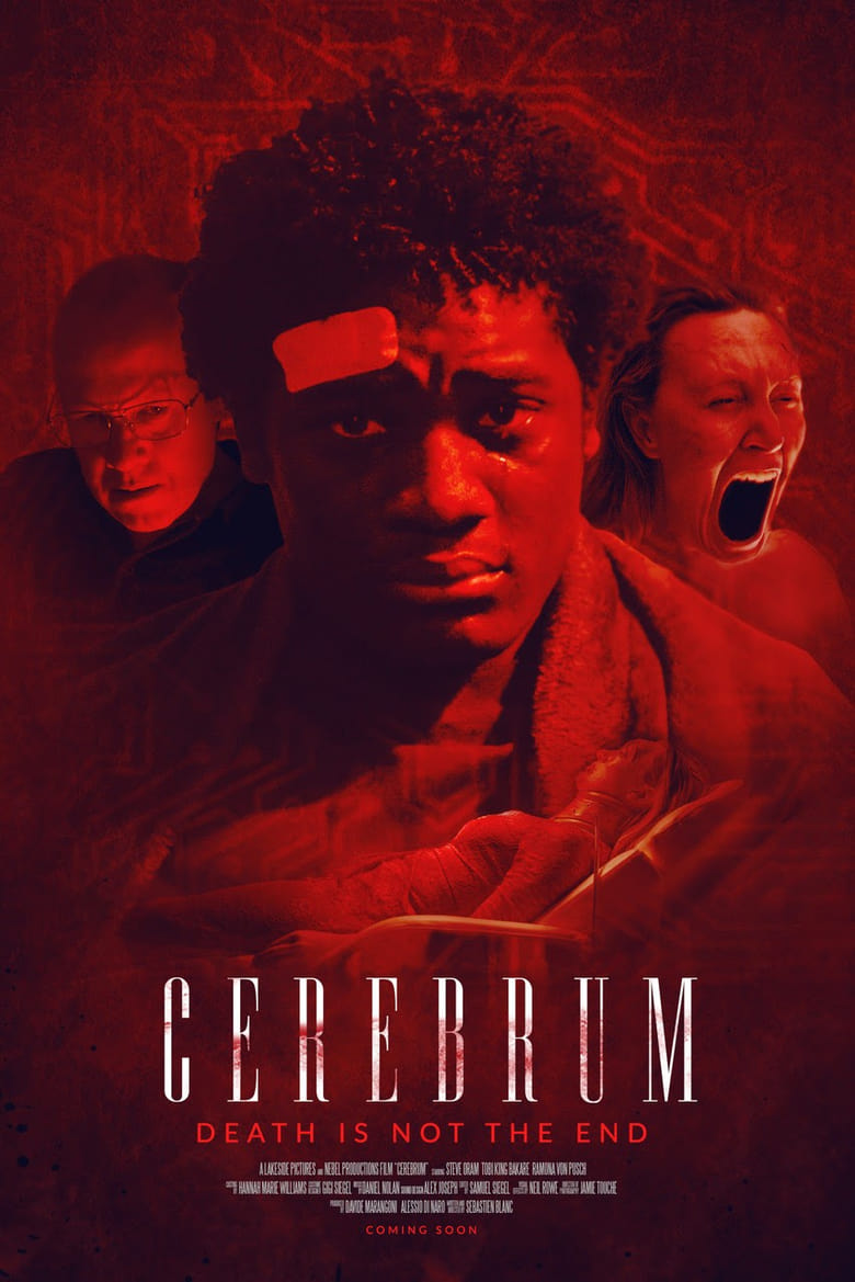 affiche du film Cerebrum