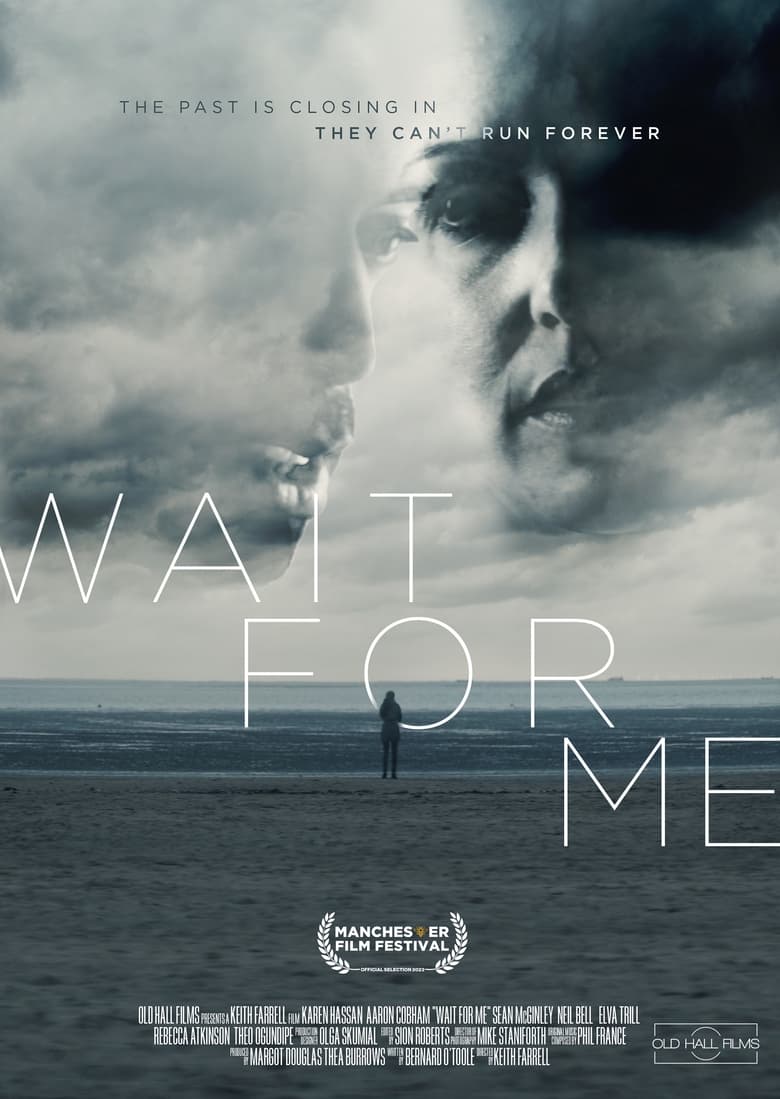 affiche du film Wait for Me